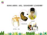 1.4《微生物的“功”与“过”》课件2021-2022学年五年级科学下册苏教版