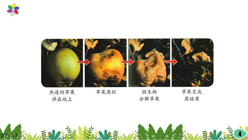 1.4《微生物的“功”与“过”》课件2021-2022学年五年级科学下册苏教版04