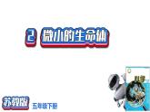 1.2微小的生命体（课件）2021-2022学年五年级科学下册苏教版