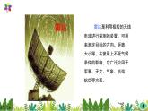 2.7《蝙蝠和雷达》课件2021-2022学年五年级科学下册苏教版