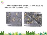 2.7《蝙蝠和雷达》课件2021-2022学年五年级科学下册苏教版