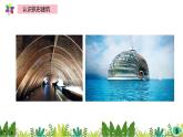 2.6《蛋殼與拱形建筑》課件2021-2022學(xué)年五年級科學(xué)下冊蘇教版