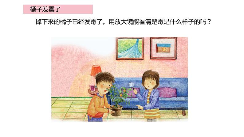 1.3发霉与防霉（课件）2021-2022学年五年级科学下册苏教版第3页