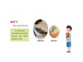 1.3發(fā)霉與防霉（課件）2021-2022學年五年級科學下冊蘇教版