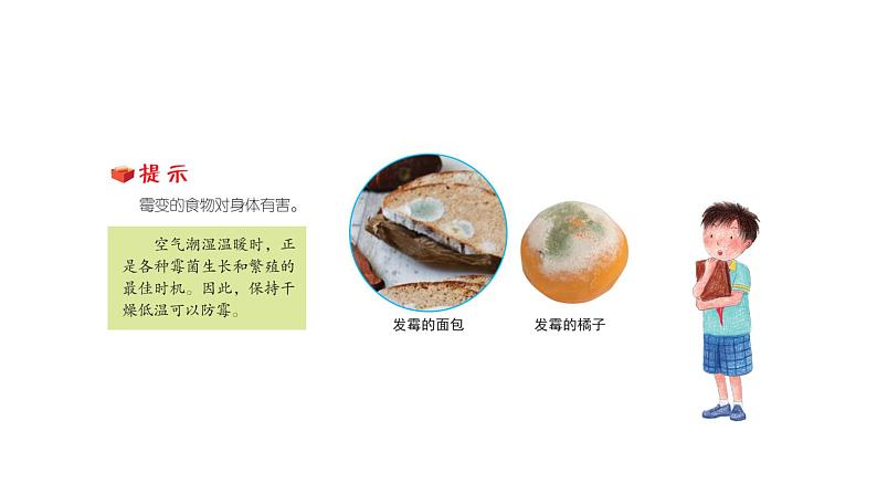 1.3发霉与防霉（课件）2021-2022学年五年级科学下册苏教版第5页
