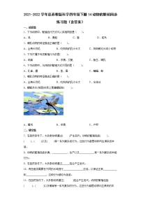 科学四年级下册14 动物的繁殖练习题