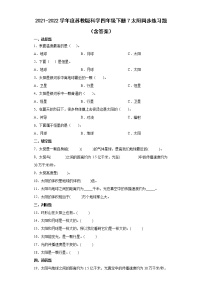 小学科学苏教版 (2017)四年级下册7 太阳随堂练习题