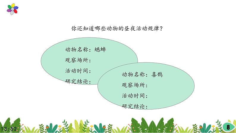 3.11《昼夜对动物的影响》课件2021-2022学年五年级科学下册苏教版08