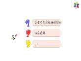 3.10《晝夜對植物的影響》課件2021-2022學(xué)年五年級科學(xué)下冊蘇教版
