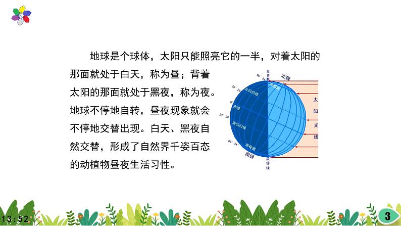 3.10《昼夜对植物的影响》课件2021-2022学年五年级科学下册苏教版第3页