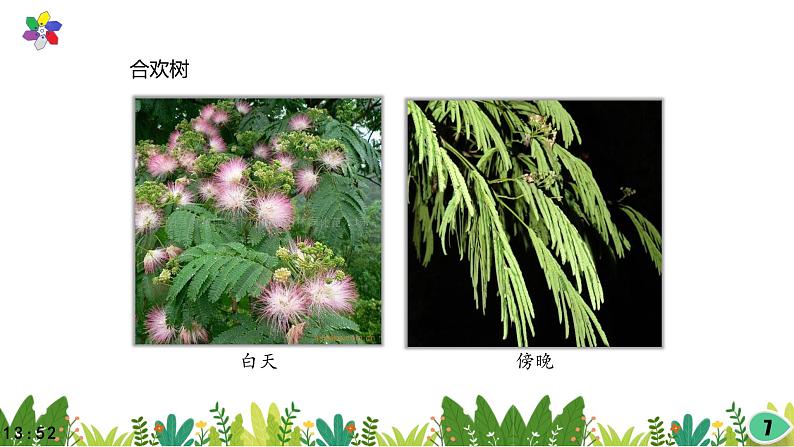 3.10《昼夜对植物的影响》课件2021-2022学年五年级科学下册苏教版第7页