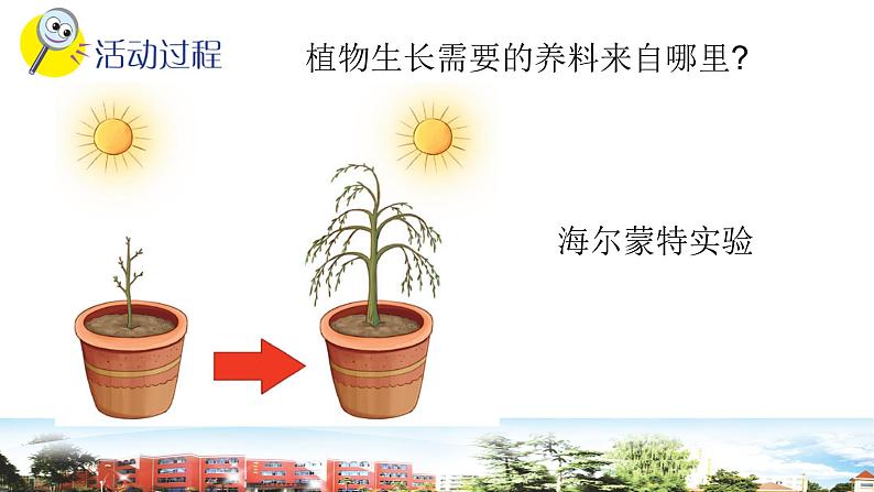 新青岛版科学五年级下册课件（含素材）-第18课 光合作用03