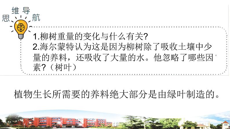 新青岛版科学五年级下册课件（含素材）-第18课 光合作用06