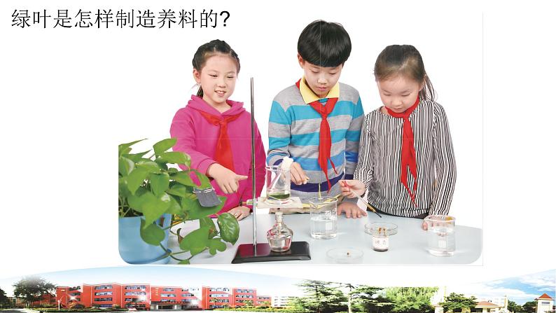 新青岛版科学五年级下册课件（含素材）-第18课 光合作用07