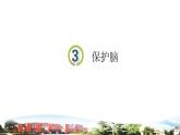 新青岛版科学五年级下册课件（含素材）-第3课 保护脑