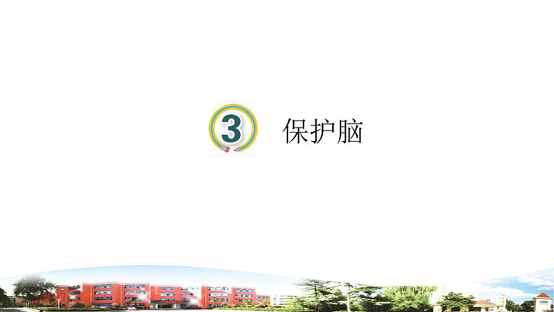 新青岛版科学五年级下册课件（含素材）-第3课 保护脑01