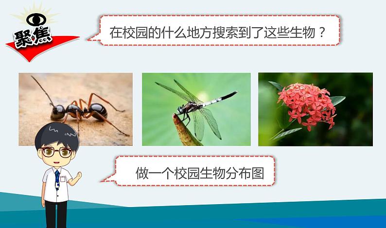 新 教科版科学  六下 2.2《制作校园生物分布图》（课件+教学设计+素材）02