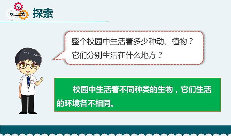 新 教科版科学  六下 2.2《制作校园生物分布图》（课件+教学设计+素材）04