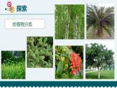 新 教科版科学  六下 2.2《制作校园生物分布图》（课件+教学设计+素材）