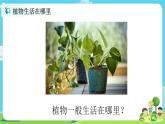 2.1.2《土壤——动植物的乐园》课件+教案