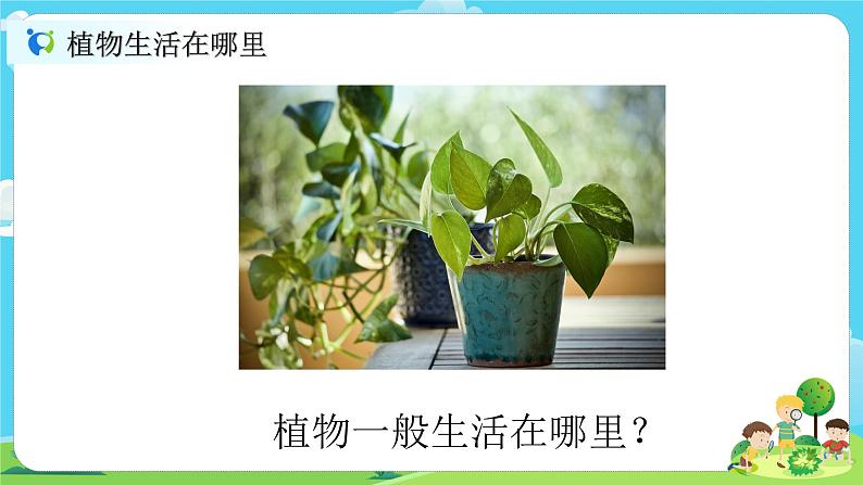 2.1.2《土壤——动植物的乐园》课件+教案02