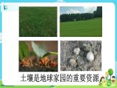 2.1.2《土壤——动植物的乐园》课件+教案