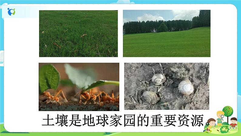 2.1.2《土壤——动植物的乐园》课件+教案03