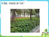 2.1.2《土壤——动植物的乐园》课件+教案