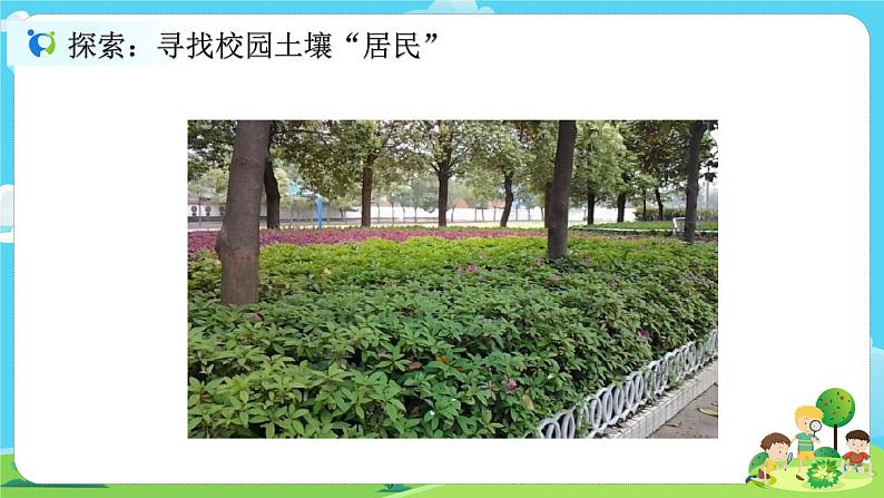 2.1.2《土壤——动植物的乐园》课件+教案04