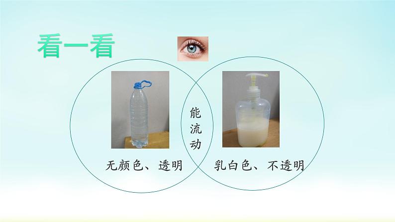 教科版义务教育版小学科学一年级下册  5.观察一瓶水   课件04