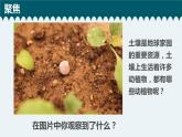 新教科版二年级上册资料1.2土壤动植物的乐园课件PPT