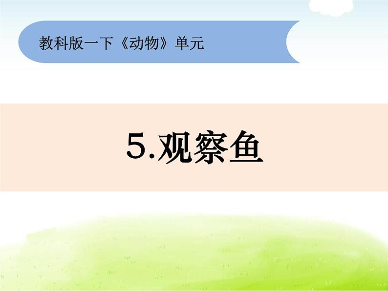 2-5《观察鱼》课件 教科版小学科学一下01