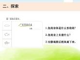 2-5《观察鱼》课件 教科版小学科学一下