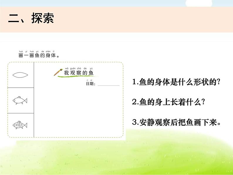 2-5《观察鱼》课件 教科版小学科学一下03