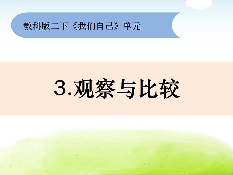 2-3《观察与比较》课件 教科版小学科学二下01