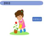 1.3《种子长出了根》课件 教科版小学科学四下