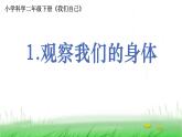 2.2.1 观察我们的身体课件 教科版小学科学二下