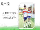 2.2.1 观察我们的身体课件 教科版小学科学二下
