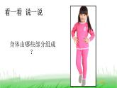 2.2.1 观察我们的身体课件 教科版小学科学二下