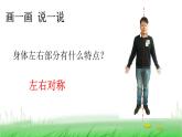 2.2.1 观察我们的身体课件 教科版小学科学二下