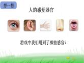 2.2.4 测试反应快慢课件 教科版小学科学二下