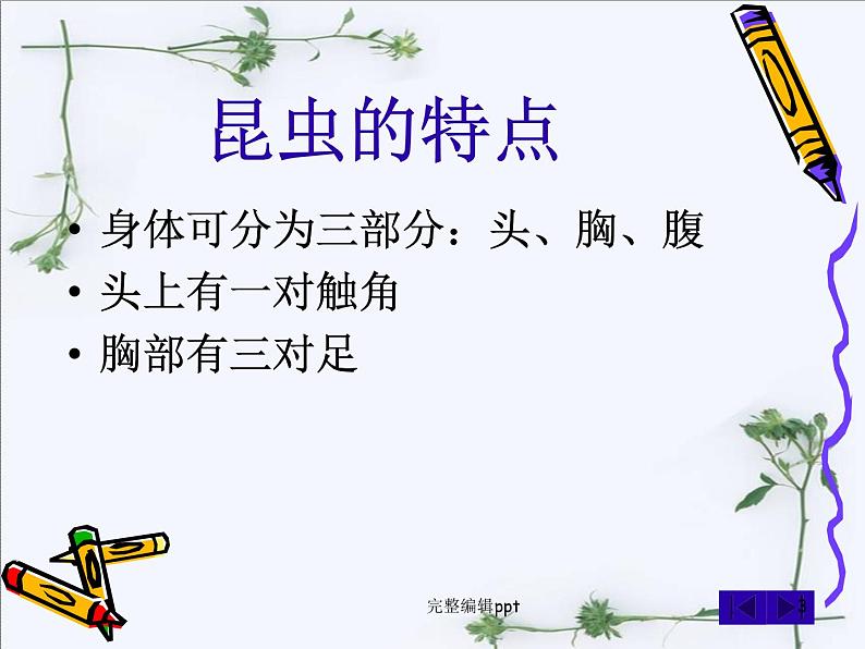 放大镜下的昆虫世界.ppt03