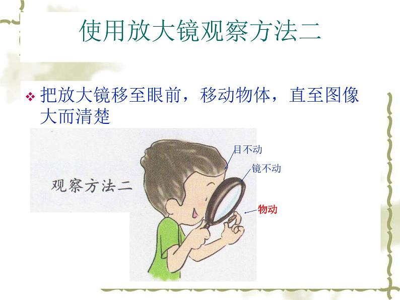 科教版六年级科学下册第一单元微小世界第一节《放大镜》课件07