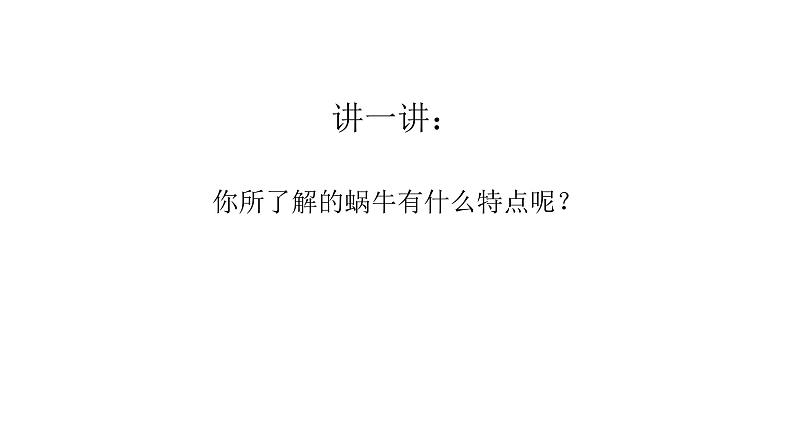 教科版义务教育版小学科学一年级下册  3.观察一种动物  课件03