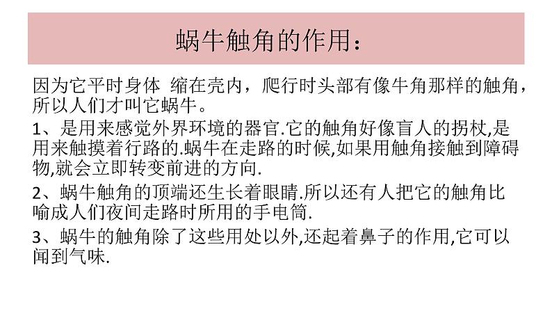 教科版义务教育版小学科学一年级下册  3.观察一种动物  课件06