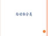 教科版义务教育版小学科学一年级下册  6.给动物分类   课件