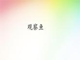 教科版义务教育版小学科学一年级下册  5.观察鱼   课件
