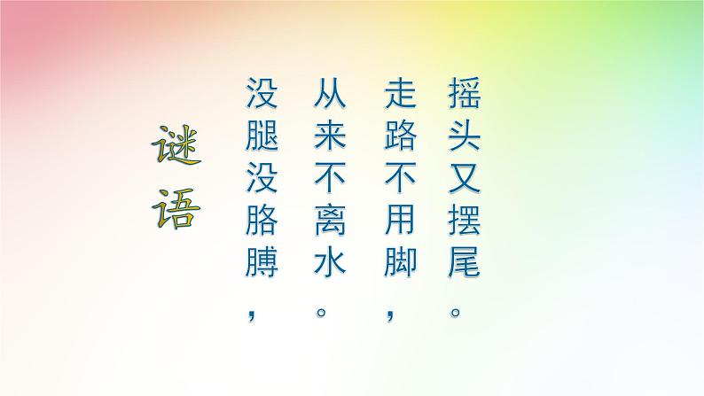 教科版义务教育版小学科学一年级下册  5.观察鱼   课件第2页