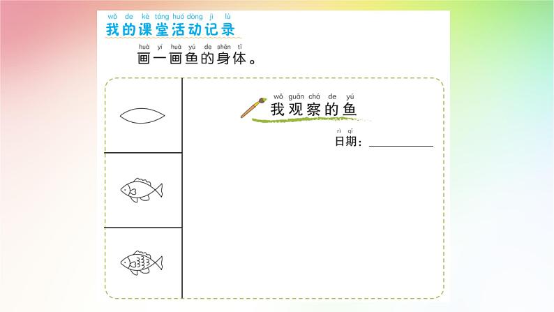 教科版义务教育版小学科学一年级下册  5.观察鱼   课件第6页