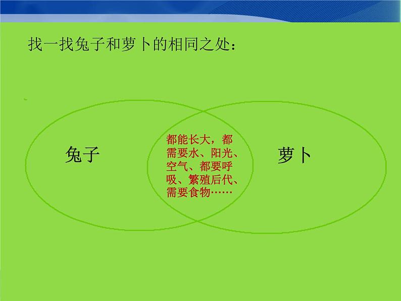 一年级下册科学（2017版）课件12《动物·人》参考课件第3页